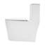 Toilette allongée une pièce avec toilette encastrée à haut rendement pour un montage au sol peu encombrant (siège à fermeture en douceur inclus)