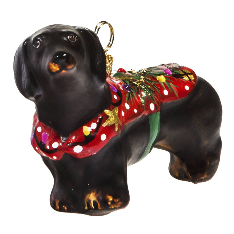 Dachshund W/Ugly Christmas Sweater