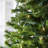 606'' String Lights-31889552