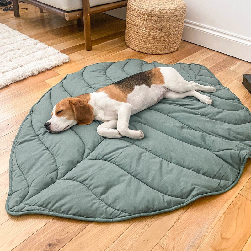  Couverture pour animaux en forme de feuille, vert orme