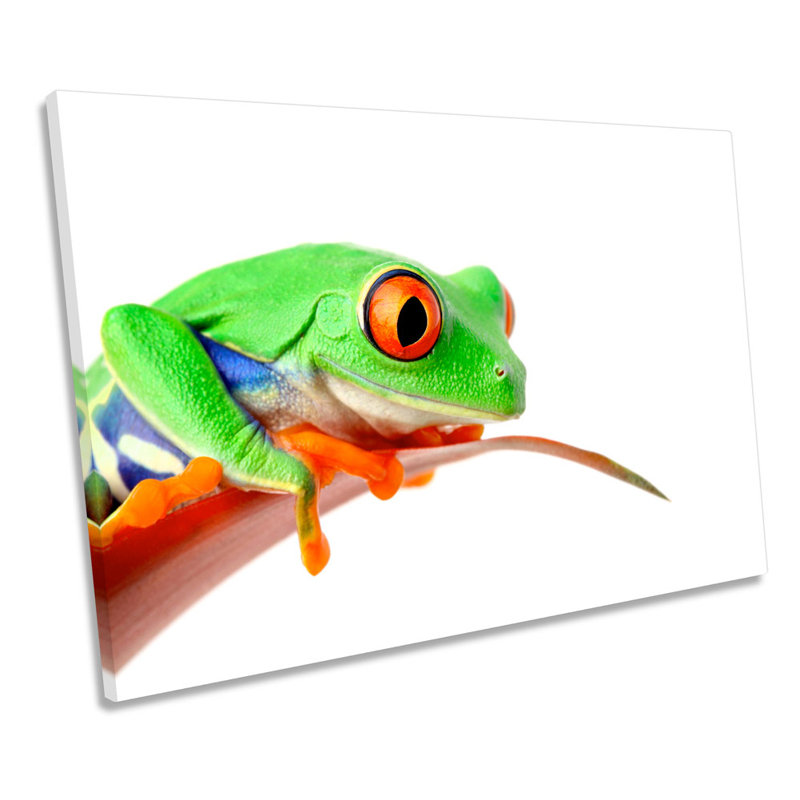 Green Frog - Wrapped Canvas Print, 30.5cm H x 45.7cm W