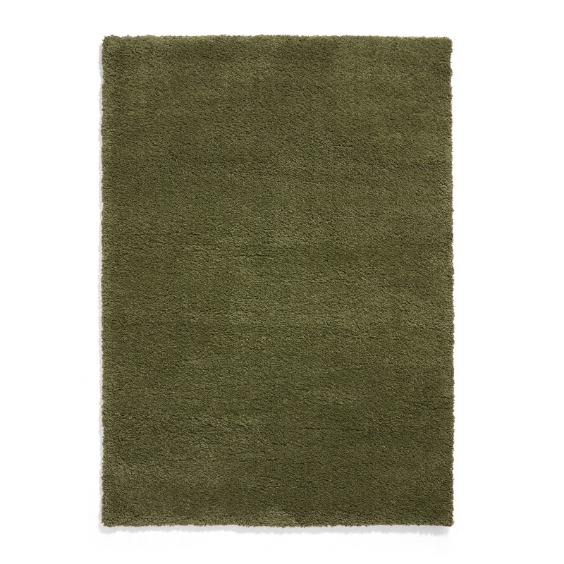 Porretto area rug Machine Woven Rectangle Olive, Rectangle 200 x 290cm