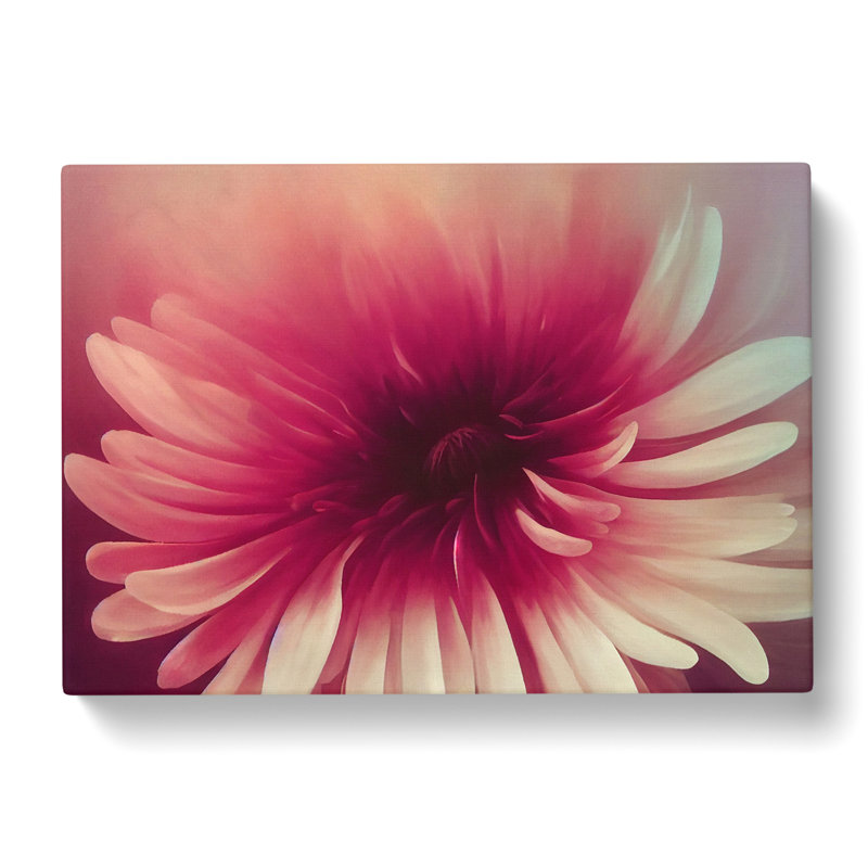 Cute Chrysanthemum Flower Vol.3 - Wrapped Canvas, 40cm H x 60cm W x 3cm D