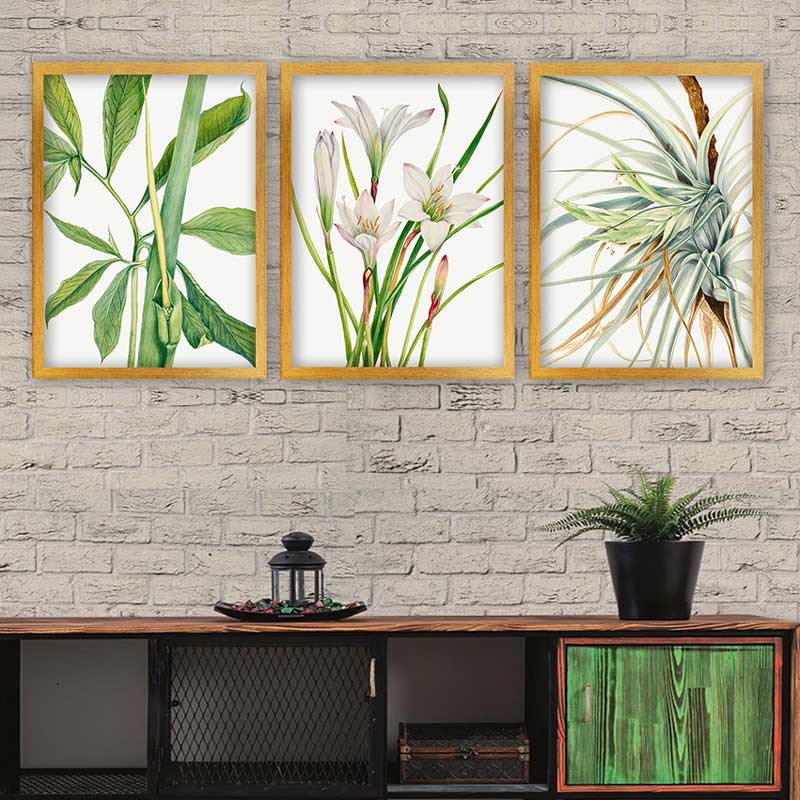 Elegant Decorative Framed Painting Set (3 Pieces), 13.8 x 17.7 inches Each | 100% Wooden with 100% Polystyrene Frame (Thickness: 0.8 inches) | UV Digital Printing, Perfect for Living Room & Home Décor