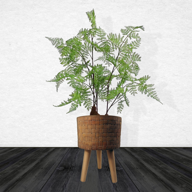 Cachepot