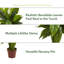 Plante spathiphyllum artificielle en pot de fleurs-1355848421-1355848420
