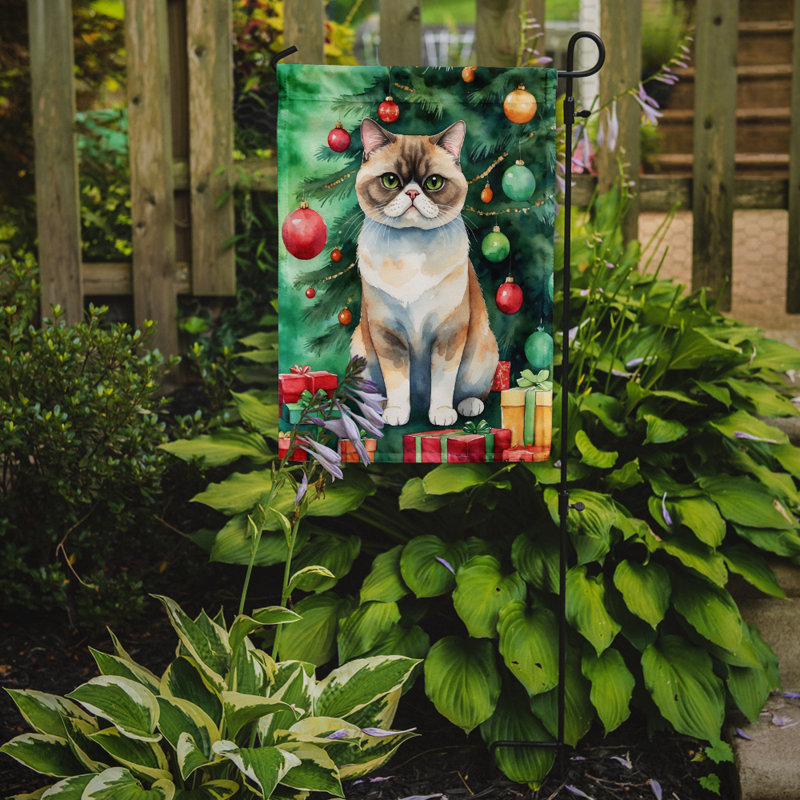 Drapeau de jardin Pixie Bob, Poil court exotique