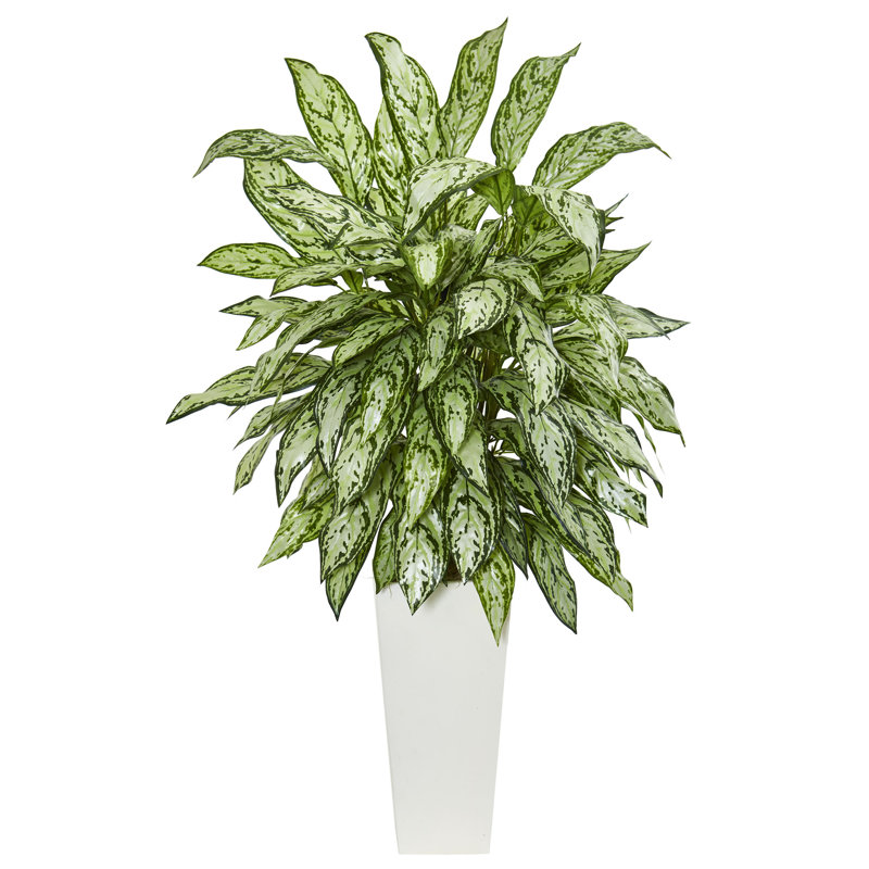Grande plante de feuillage 27,75" dans un pot de fleurs