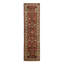 Oriental Area Rug in Rust