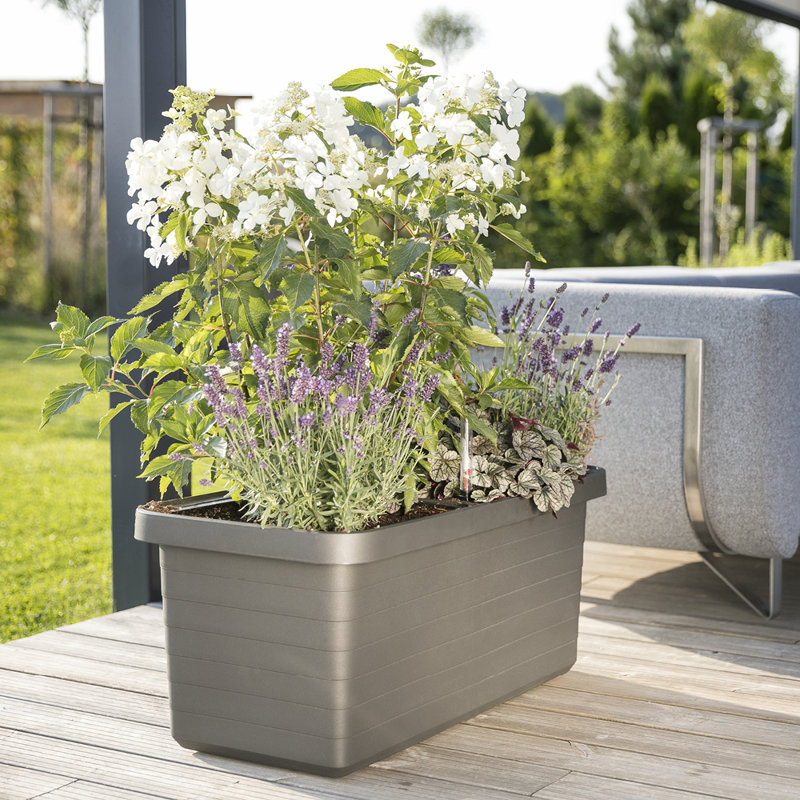 Kanisha Planter Box, Anthracite Gray