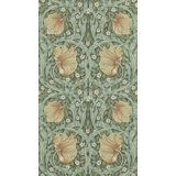Pimpernel Wallpaper