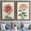 Toile de chrysanthème-1154156165-1154156161