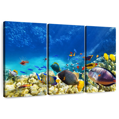 Marine Life