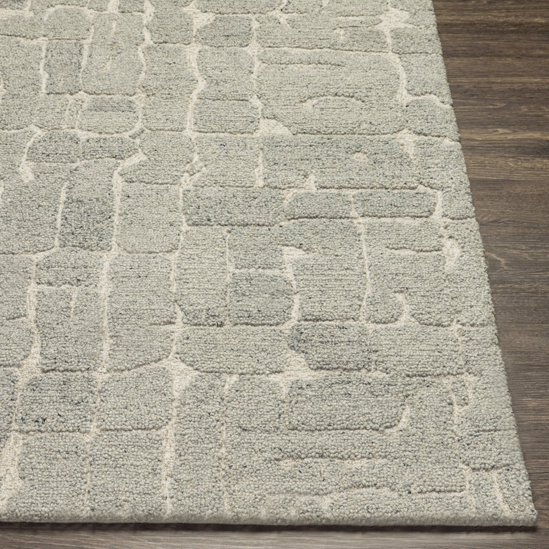 Rafe Handmade Wool Gray Area Rug, Rectangle 2' x 3'