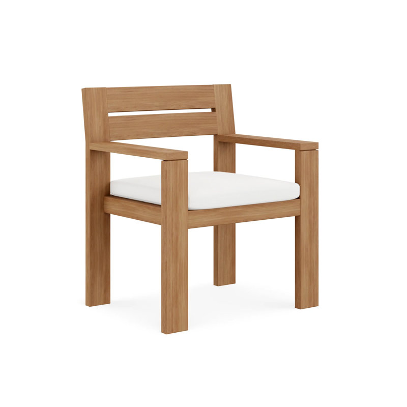 Beja Dining Arm Chair - Charcoal, Canvas Natural