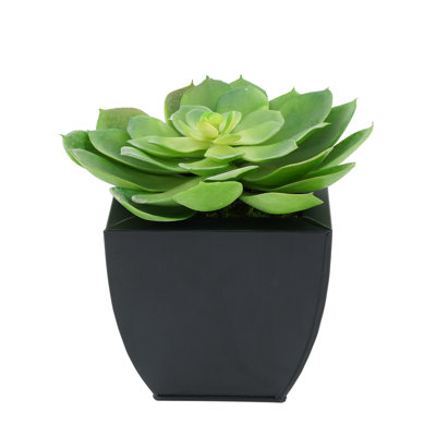8.5'' Faux Succulent in Metal Pot