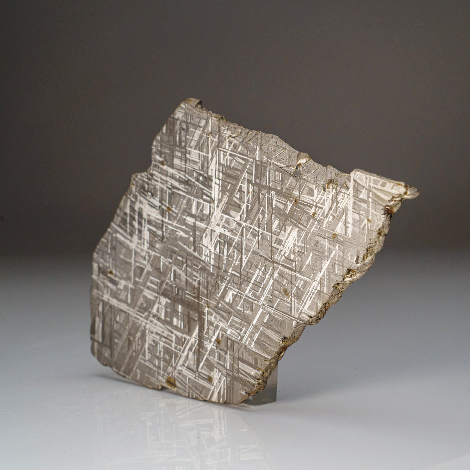 Giant Muonionalusta Meteorite (86 lbs) on Custom Metal Stand — Astro  Gallery of Gems