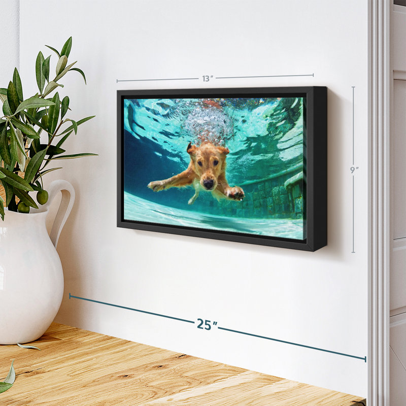 Impression sur toile Golden Retriever Diving, H 9 po x l 13 po
