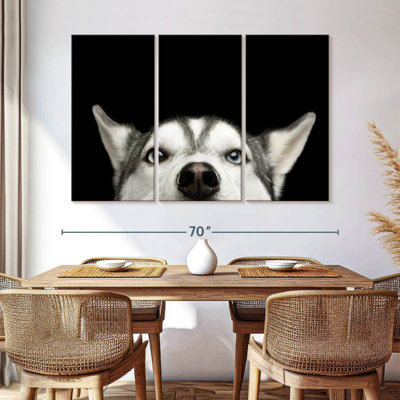 Brampt Peeking Siberian Husky