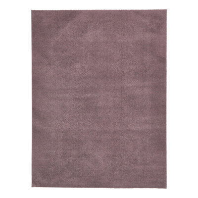 Alta Indoor Rug