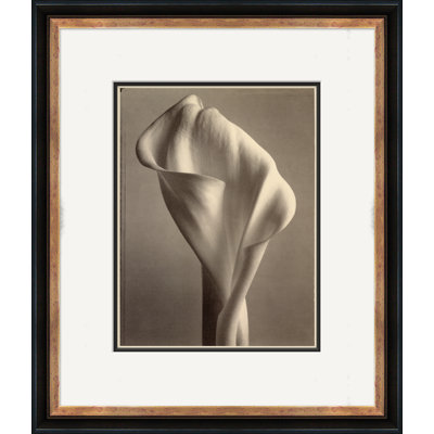 «Sepia Flowers 17» - Photographie encadrée sur papier
