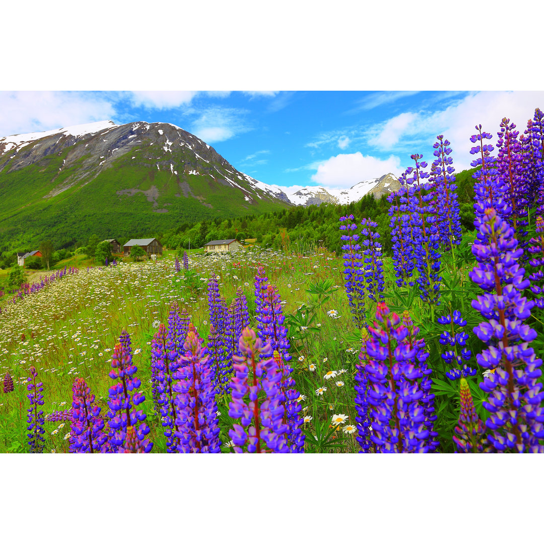 Norwegische Idylle auf dem Lande von Agustavop - Leinwanddrucke