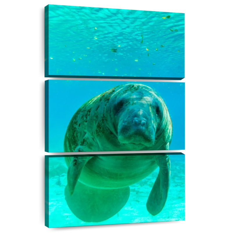 Brampt Swimming Manatee, 50" H x 32" W
