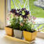 Astaire Pot Planter