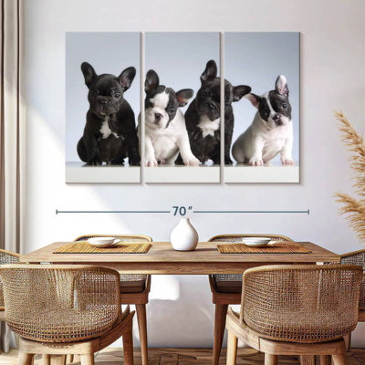 Chiots bouledogue français Brampt