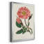 «Pink Floral Mix», reproduction encadrée sur papier-88436264-88436266