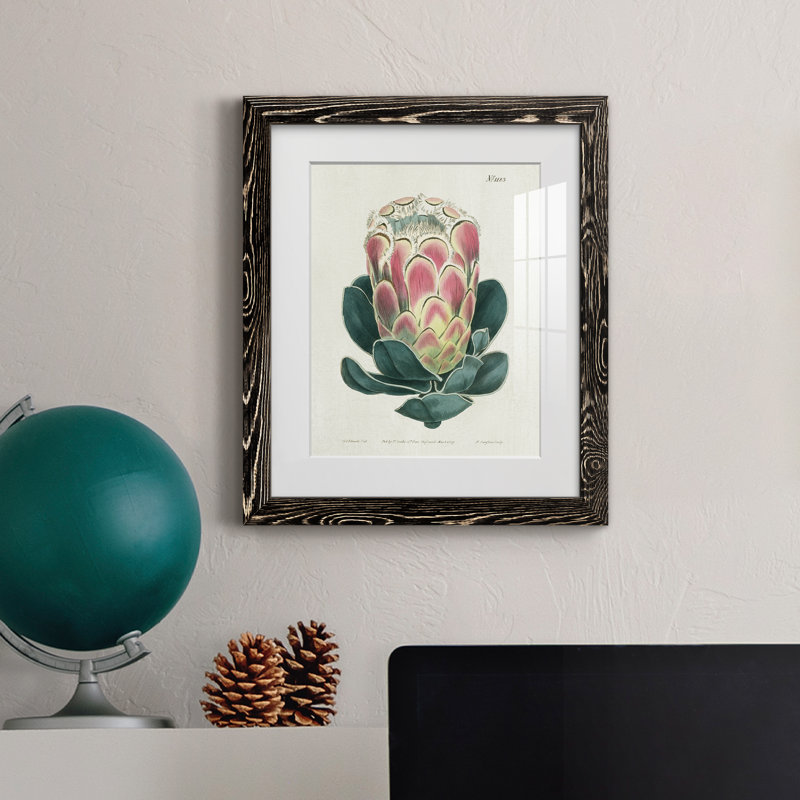 Protea N83 - Peinture encadrée, H 20 po x l 17 po x P 1,5 po, Cadre noir