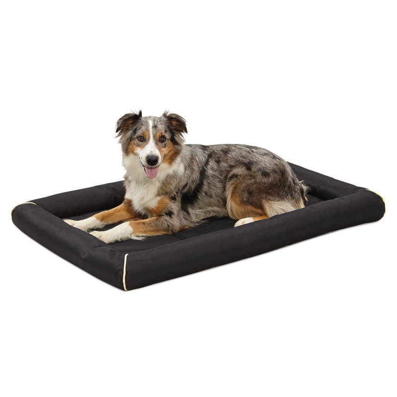 Lit pour animal de compagnie Midx West, Grand (l 42 po x P 29 po x H 3,5 po), Noir