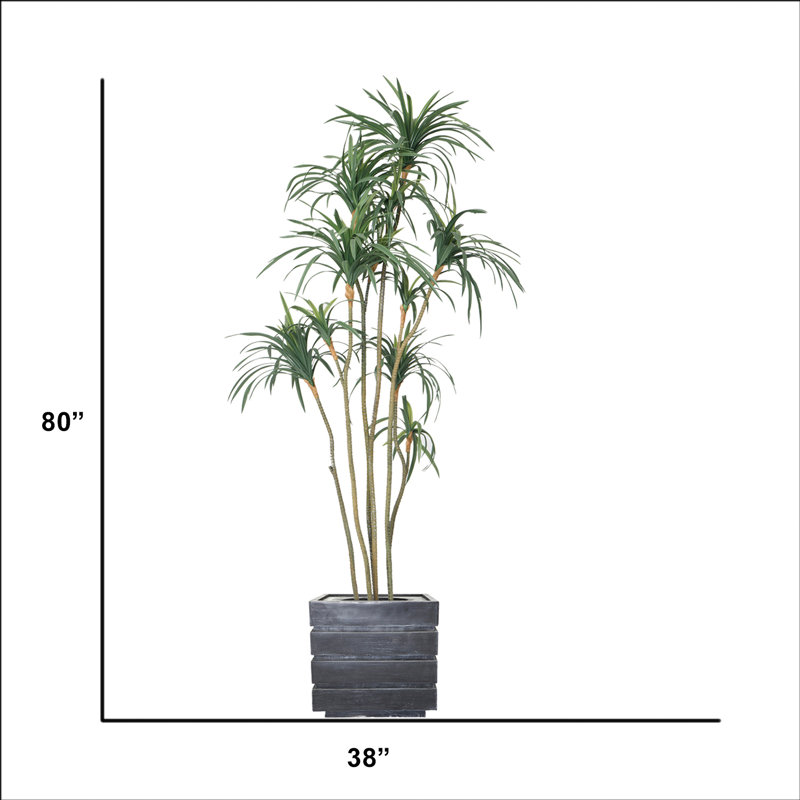 Dragon artificiel 80 po en pot, Gris