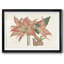 Amaryllis Varietals III-1342641797-1342641796