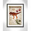 Adhésif décoratif dinosaures - 01 pi-47836273-47836264