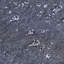 Ensemble repas pour 6 personnes-1995693337