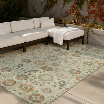 Tapis traditionnel lavable à la machine intérieur / extérieur ACN2610