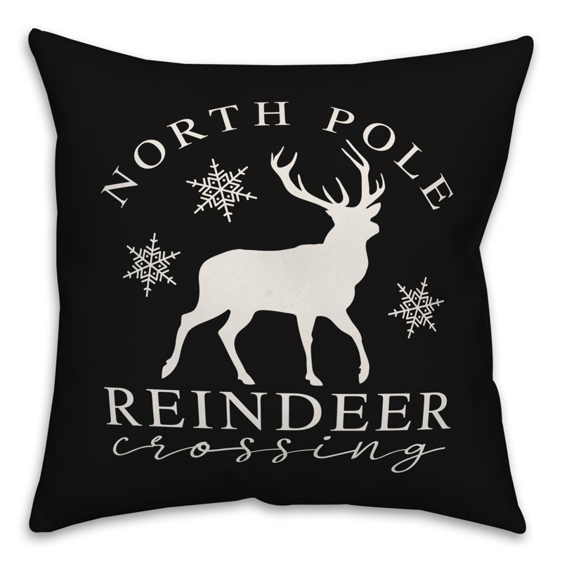 Throw Pillow, Outdoor, 16" x 16"