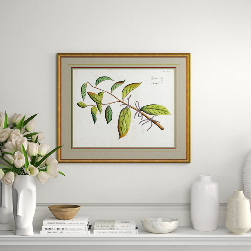 Malaberica Leaves In Color 3 Giclee Print by Soicher Marin Archives