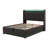 Upholstered Bed, 360 Surround LED Function, Buttons/Apps/Remote Control, Hydraulic Storage Bed With USB Type-C Charging-920729830-920729831