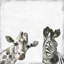 «Best Buddies», reproduction sur toile tendue-995895133