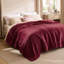 Bedsure Soft Sherpa Fleece Throw Blanket-1928280634-1928524793