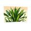 Plantes et fleurs - Motif de feuilles vertes et jaunes-1353749175-1353749170-1353749169