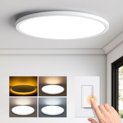 Dimmable LED Flush Mount Ceiling Light with Night Light