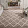 Darrold Hudson Shag Performance Geometric Rug