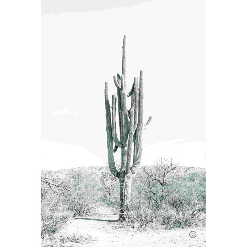 " Standing Alone " by Nathan Larson Painting Print, 30" H x 20" W  