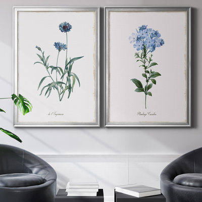 " Imperial Blue " 2 - Pieces