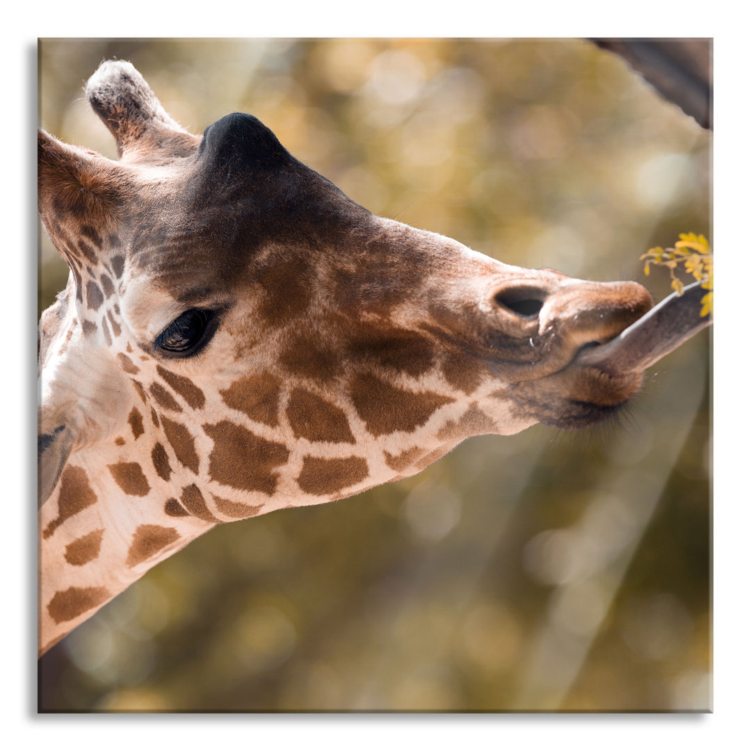 Glasbild Giraffe Face