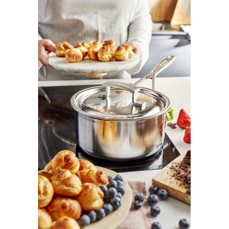 Demeyere Industry 5-Ply 1.5-Qt Stainless Steel Saucepan, 1.5 quarts