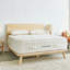 Luxury Organic Mattress-572630044-572630033